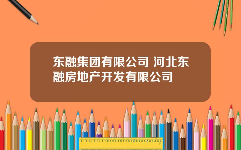 东融集团有限公司 河北东融房地产开发有限公司